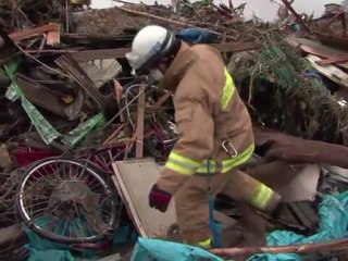 Tsunami wipes out half of Japanese town