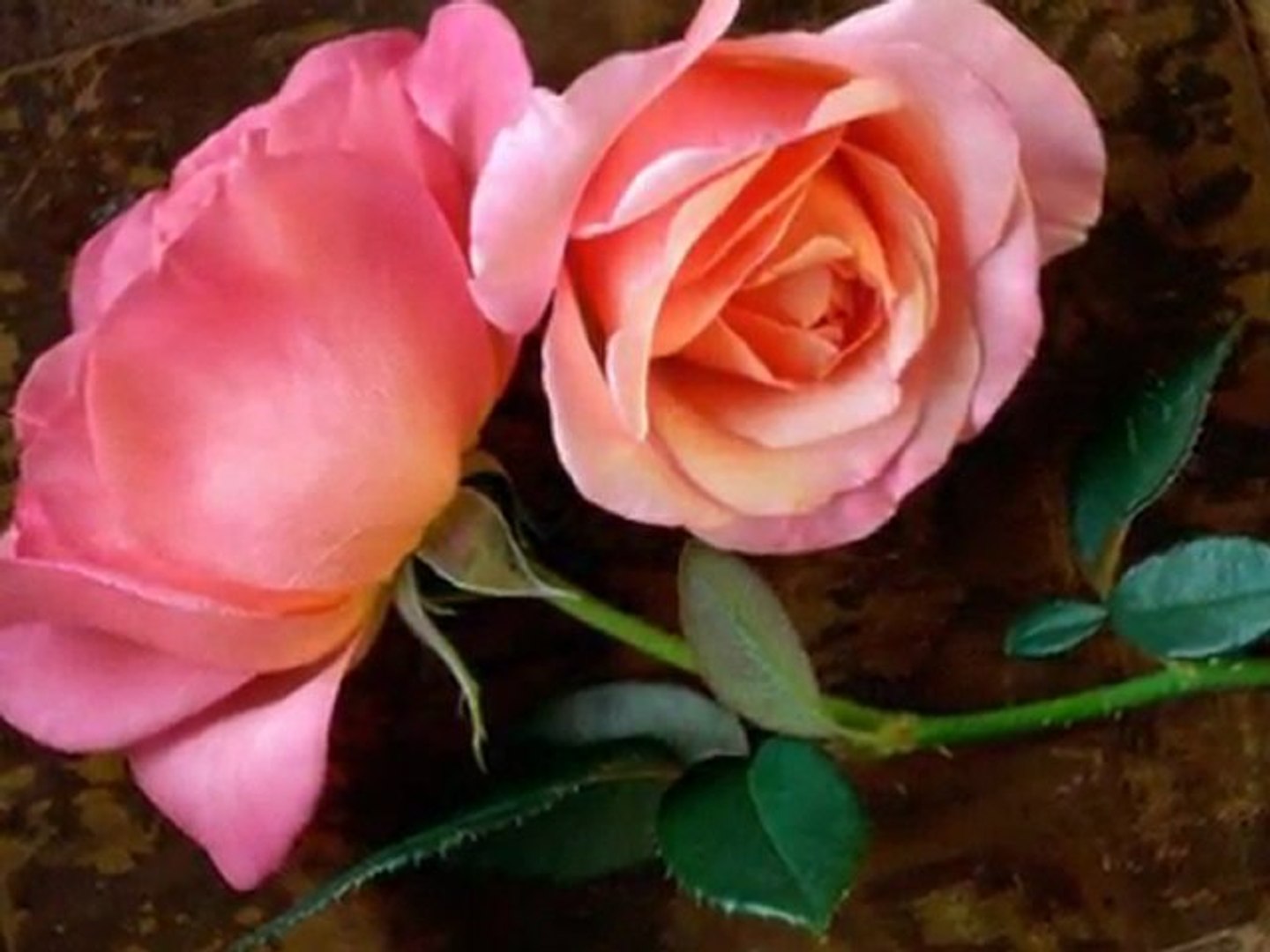 Heureux Anniversaire Anne Marie Osemaude Video Dailymotion