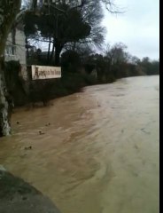 Vidourle en crue