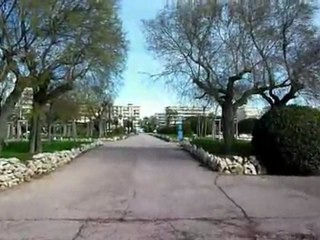 promenade sur la croisette-cannes