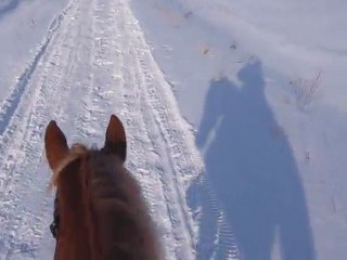 Mon Cheval Sprite 2023 : Mon Pi Mon Coco en Rendo