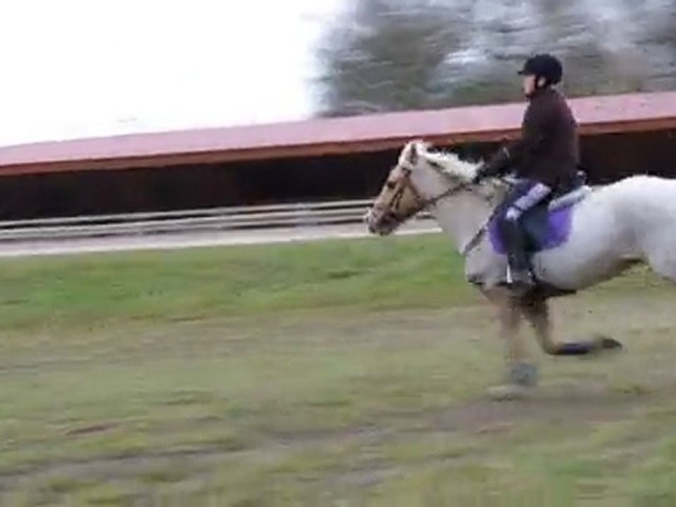 ludivine pigeot et milor cross lamotte beuvron