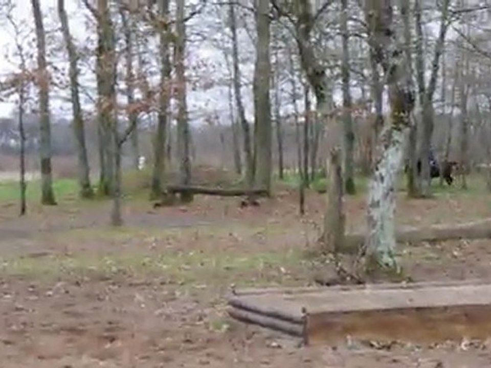 Franck et  Praline cross lamotte beuvron