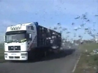 KUŞLARIN ÖZGÜRLÜK ANI @ Mehmet ali arslan yayınları