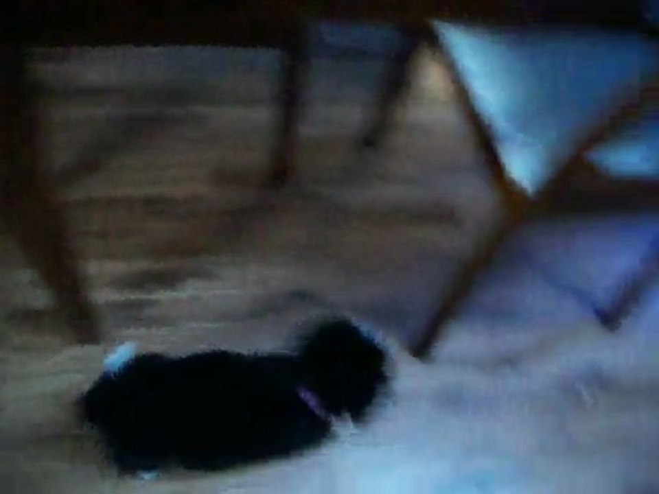 Éclaire a 6 semaines!