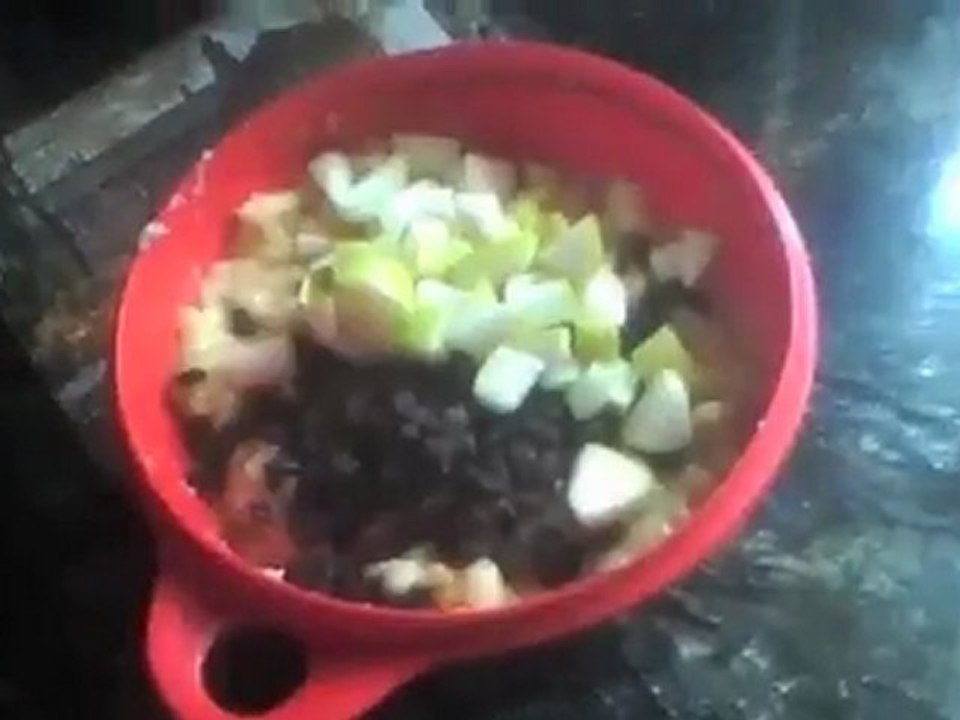 Chris Kendall The Raw Advantage - Simple Low Fat Raw Recipes