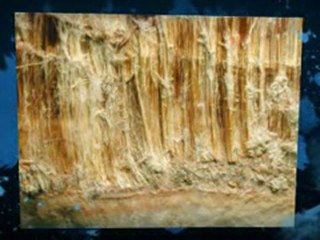 Asbestos Testing Weslaco