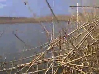 hakandan guzel bir vuruş