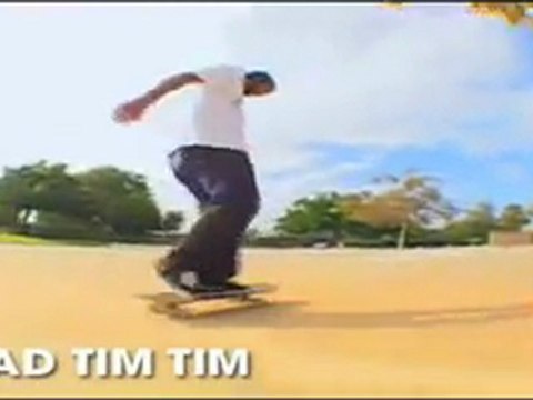 Element Skateboarding | Element Skateboards