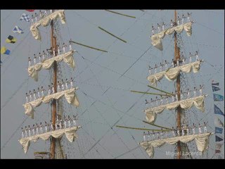 AVEIRO VELEIROS DE TODO O MUNDO VISITAM AVEIRO