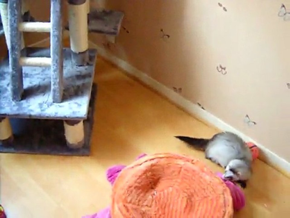 ANGELO et CHOUBAKA 2