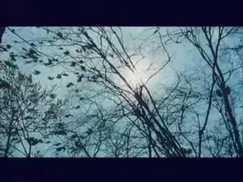 Trailer movie SHEITAN (director's cut)