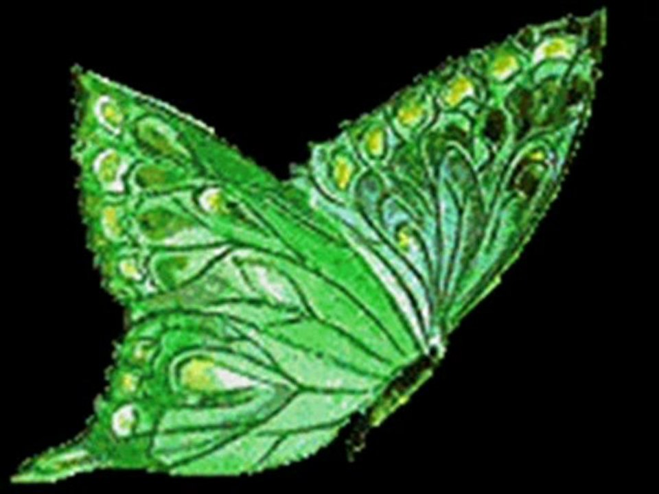 CESARETSİZ YAŞANMAZ!!ALIRLAR ELİNDEN HAYATI