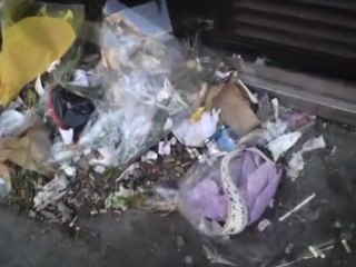 vrai vrai pomme de discorde