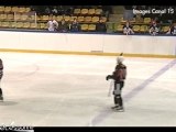 Évry enterre La Roche-sur-Yon (Hockey sur glace D2)