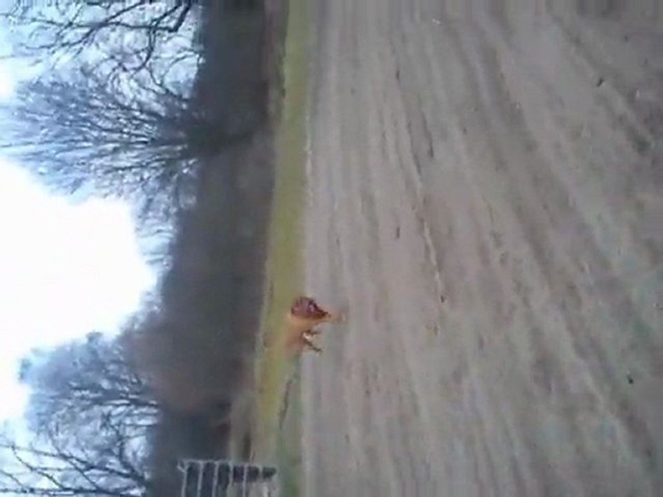 Hutch aufm Kutchplatz ;D