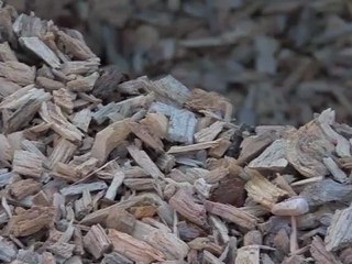 La biomasse-énergie : une ressource locale moteur...