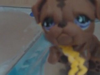 Petshop partie 2 Miss Cook