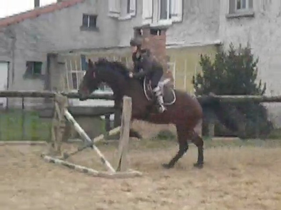Quanni saut