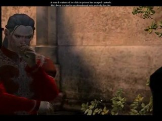 Dragon Age 2 Companions Bethany and Carver