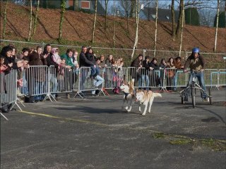 Démo Aldan River festival animal PONTIVY 2011