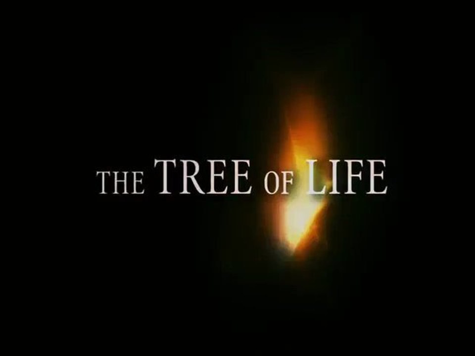 The Tree of Life - Bande-Annonce / Trailer [VOST-HD]