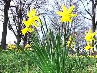 Troyes gagne sa 4ème Fleur!