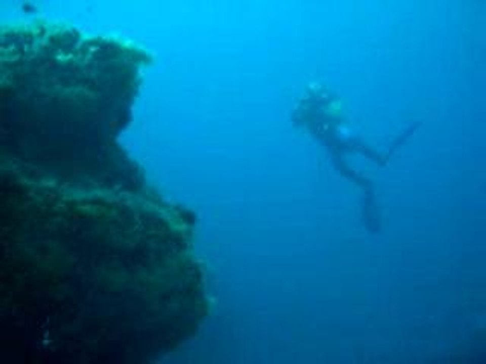 Marc et les barracudas