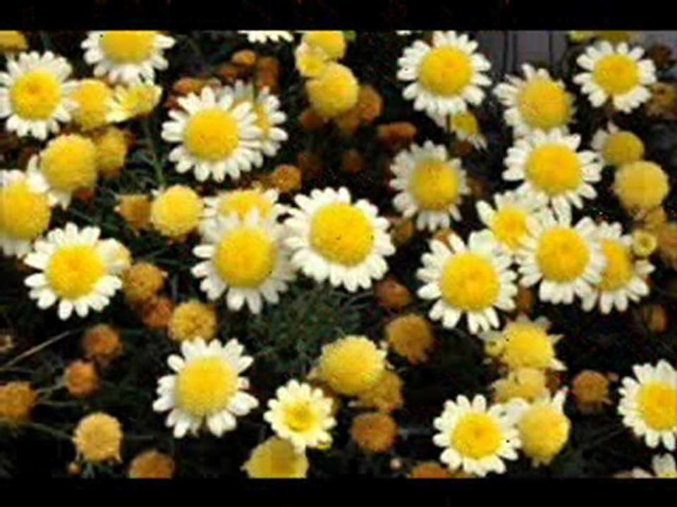 Momentum Coaching & Yoga