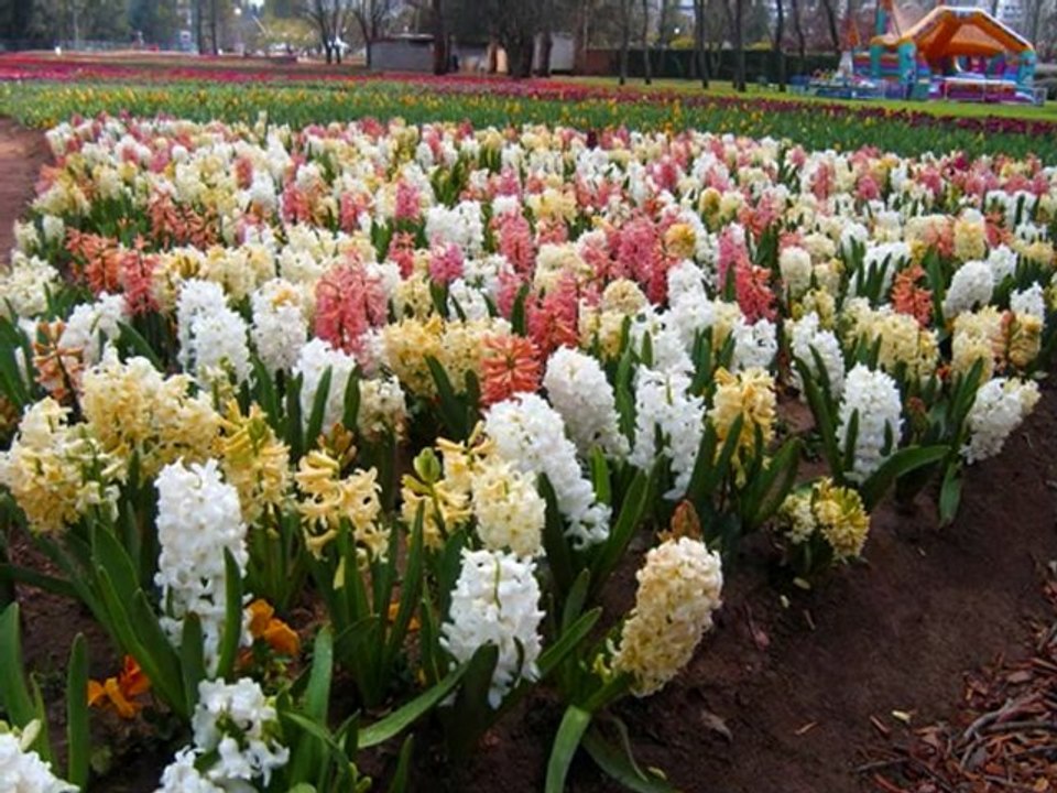 Zeyno'dan