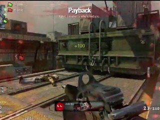 vital Dodge Minitage 2