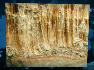 Asbestos Testing Berkeley