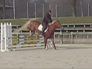 TYSON DE LA PLAGNE à la WARM UP de Compiègne le 16 mars 2011