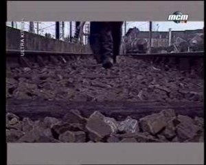 Fake-Another brick