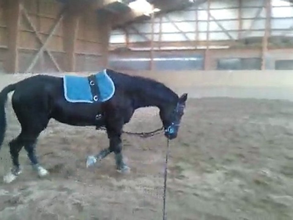 Rico longe D 16/03/2011