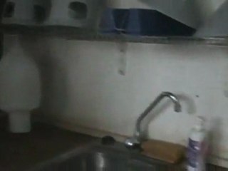 Activitats 2010 (2/3)