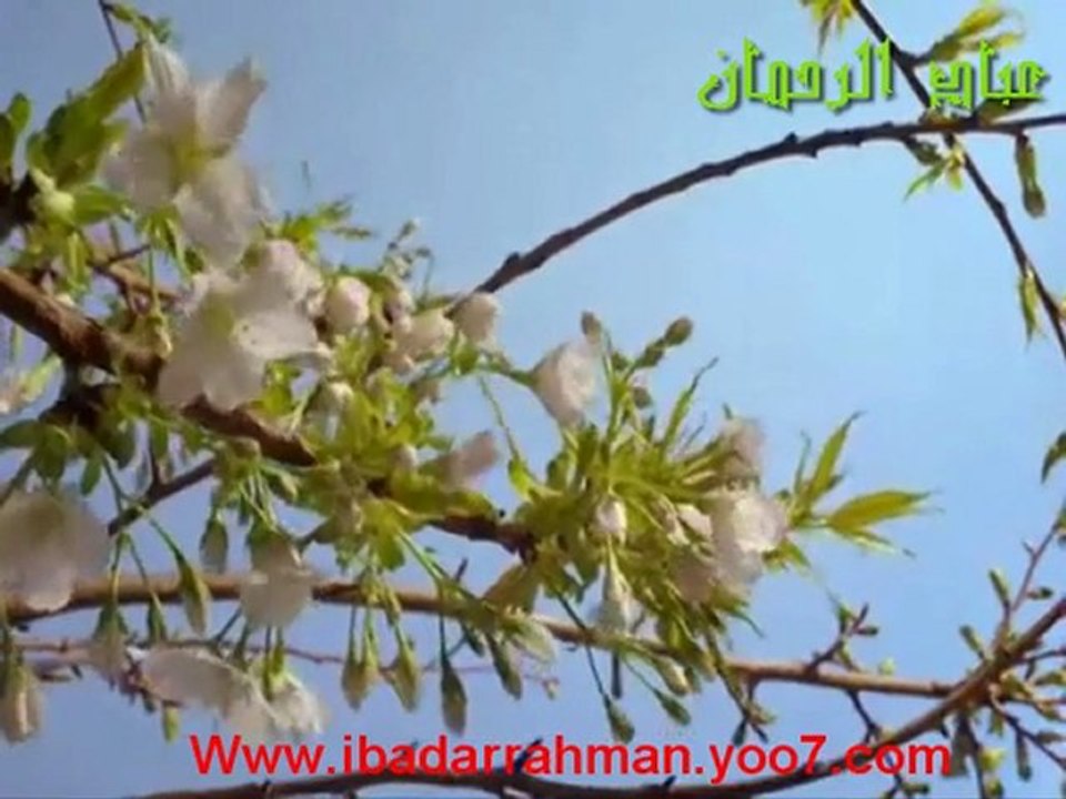 الشيخ خالد الراشد البداية و النهاية مؤثر جدا أهوال القيامة