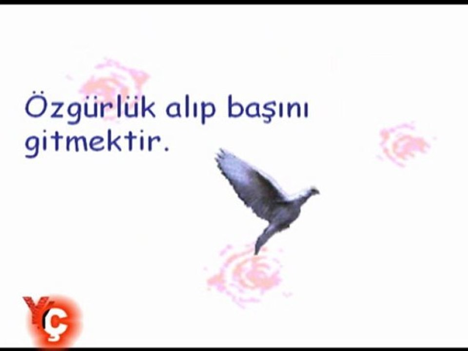 AŞK VE ÖZGÜRLÜK