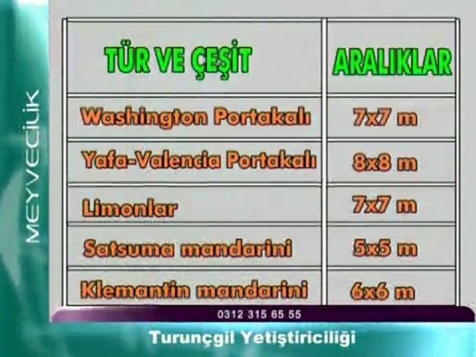 3-turuncgil_yetistiriciligi