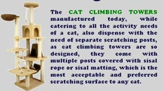 Cats Require Cat Climbing Towers To Ensure Their Health