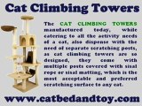 Cats Require Cat Climbing Towers To Ensure Their Health