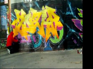 ZDELP Graff 2011 Toulouse