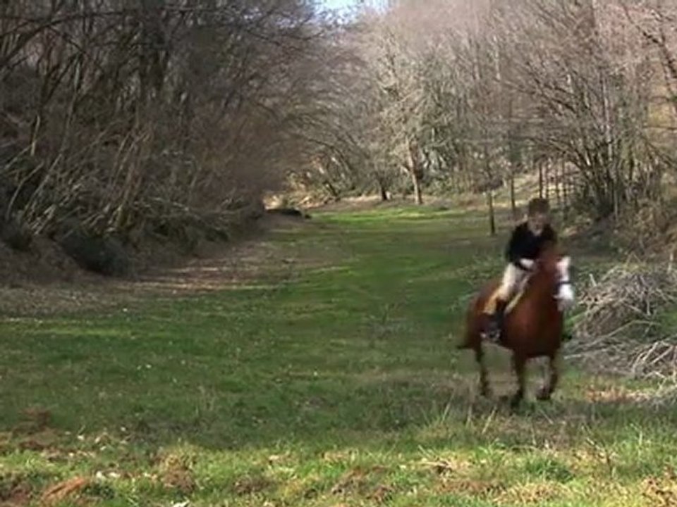 Dordogne - A l’oreille des chevaux