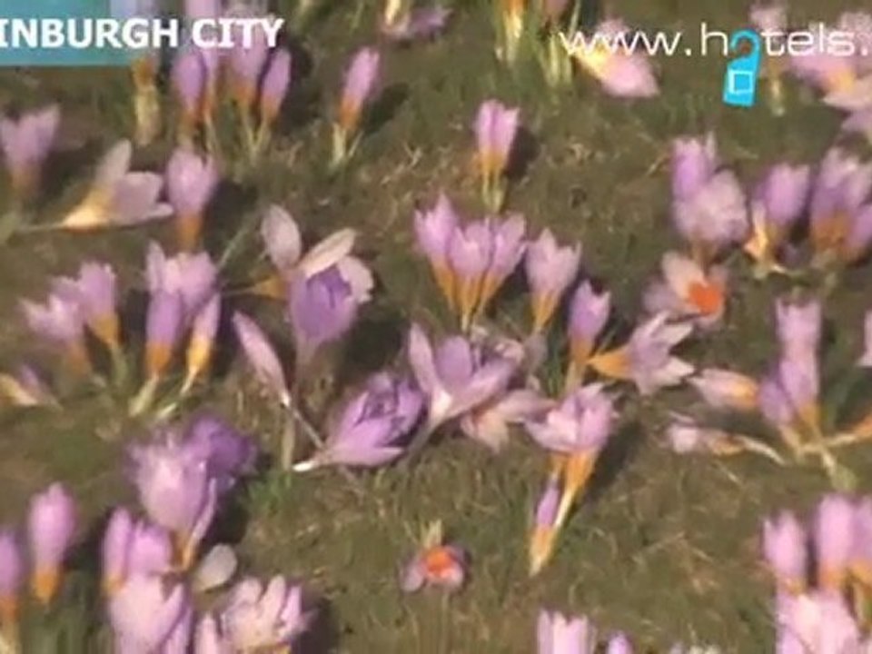 Edinburgh City, Scotland