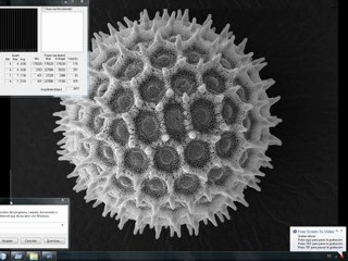 conexion mysql con java  y hibernate