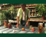 Vidéo conseil en jardinage Comment récolter des graines de tomate ?