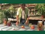 Vidéo conseil en jardinage Comment récolter des graines de tomate ? version iPhone/ iPad