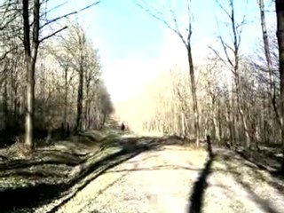 voila mwa et tara au galop