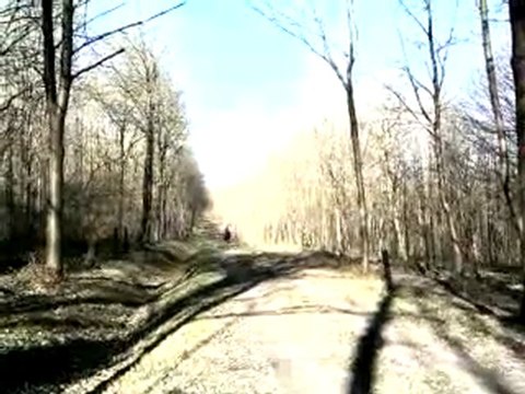 voila mwa et tara au galop