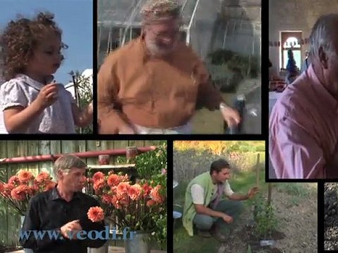 VEODI - Créateur de contenu vidéo et sonore, films institutionnels et publicitaires